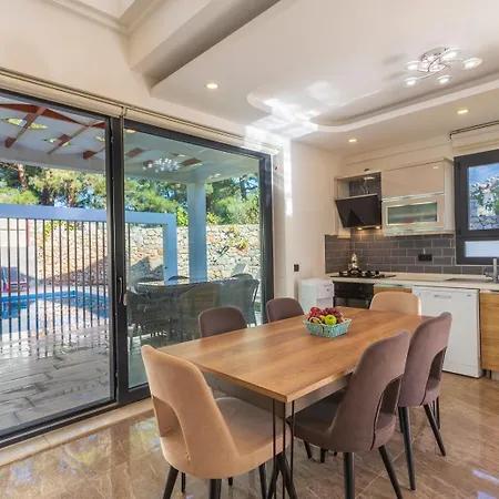 Villa Hisar Celebrity D