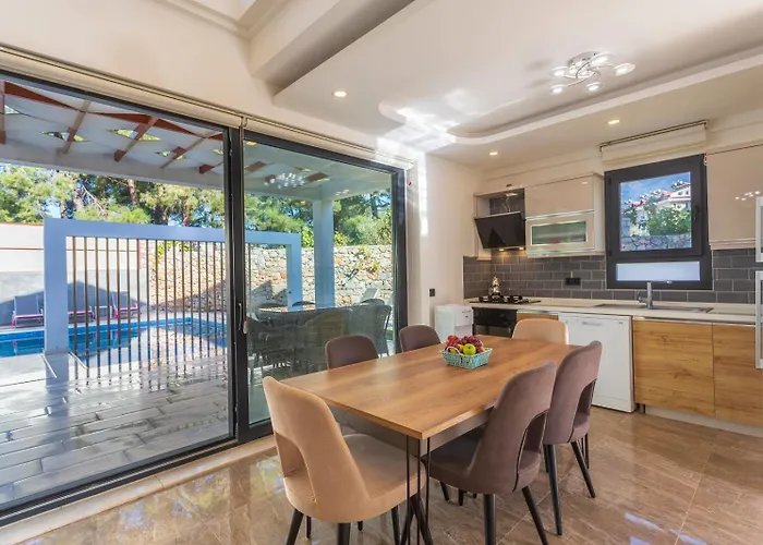 Villa Hisar Celebrity D